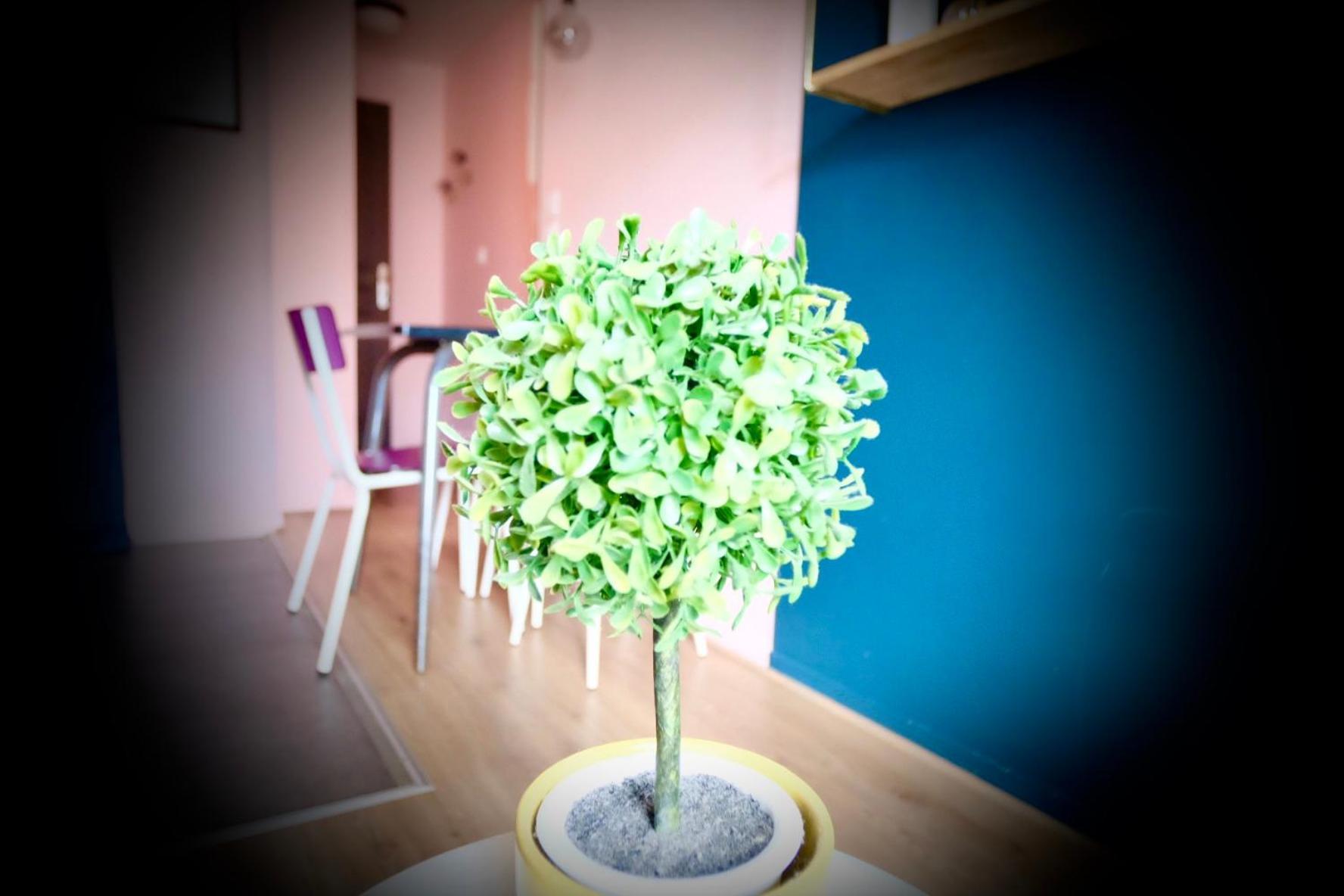 La Bonbonniere Rose Apartment Caen Luaran gambar